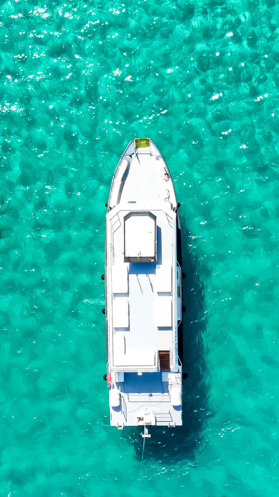 Private Boat Cruise Ibiza